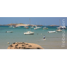 Carte postale - port - Regards sur Trébeurden